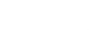 Fever Logo White