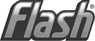 Flash Logo Transparent V2