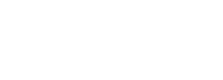Wild Logo White