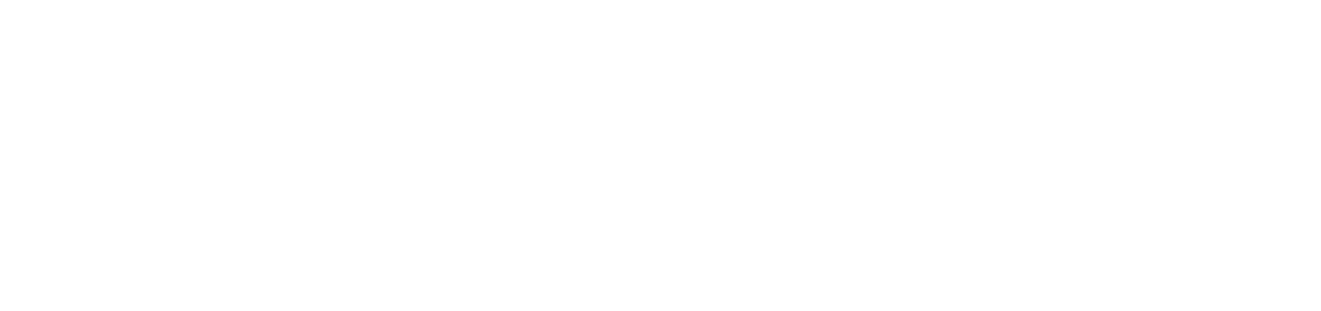 Adrian Flux I4 I Logo